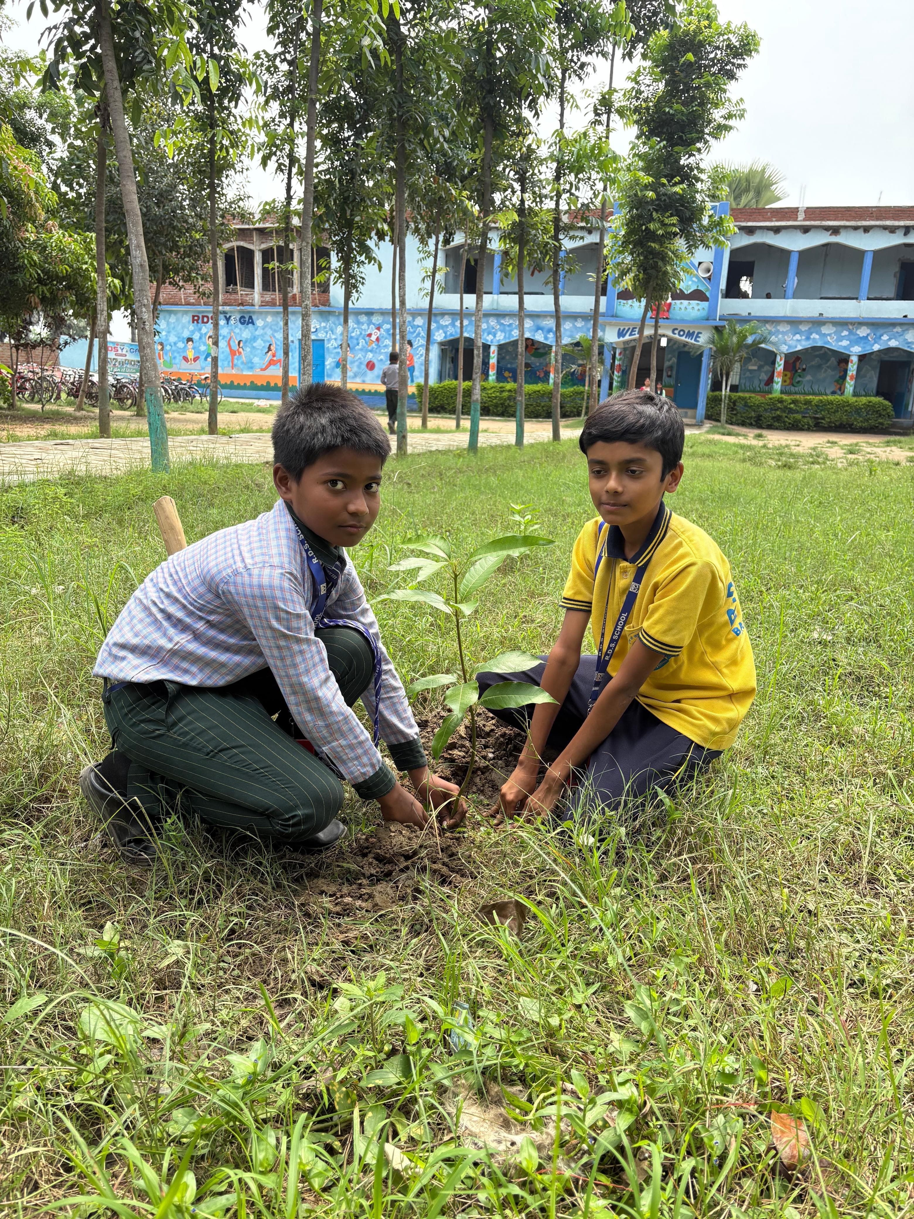 Tree Plantation Drive